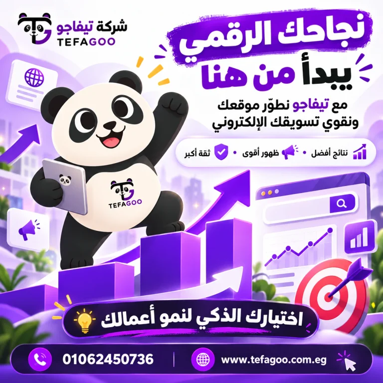 شركة تصميم مواقع إلكترونية في مصر